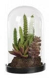 Artificial Succulent Mix in Glass Dome