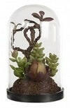 Artificial Succulent Mix in Glass Dome