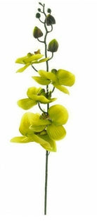 Artificial Silk Moth Orchid Flowers