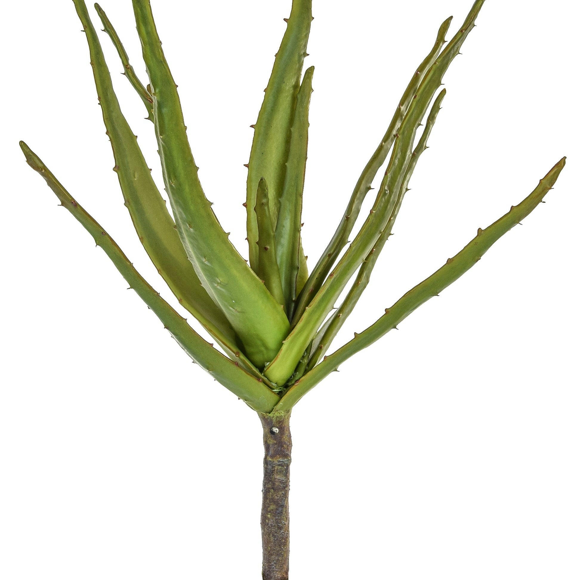 Artificial Aloe Succulent 