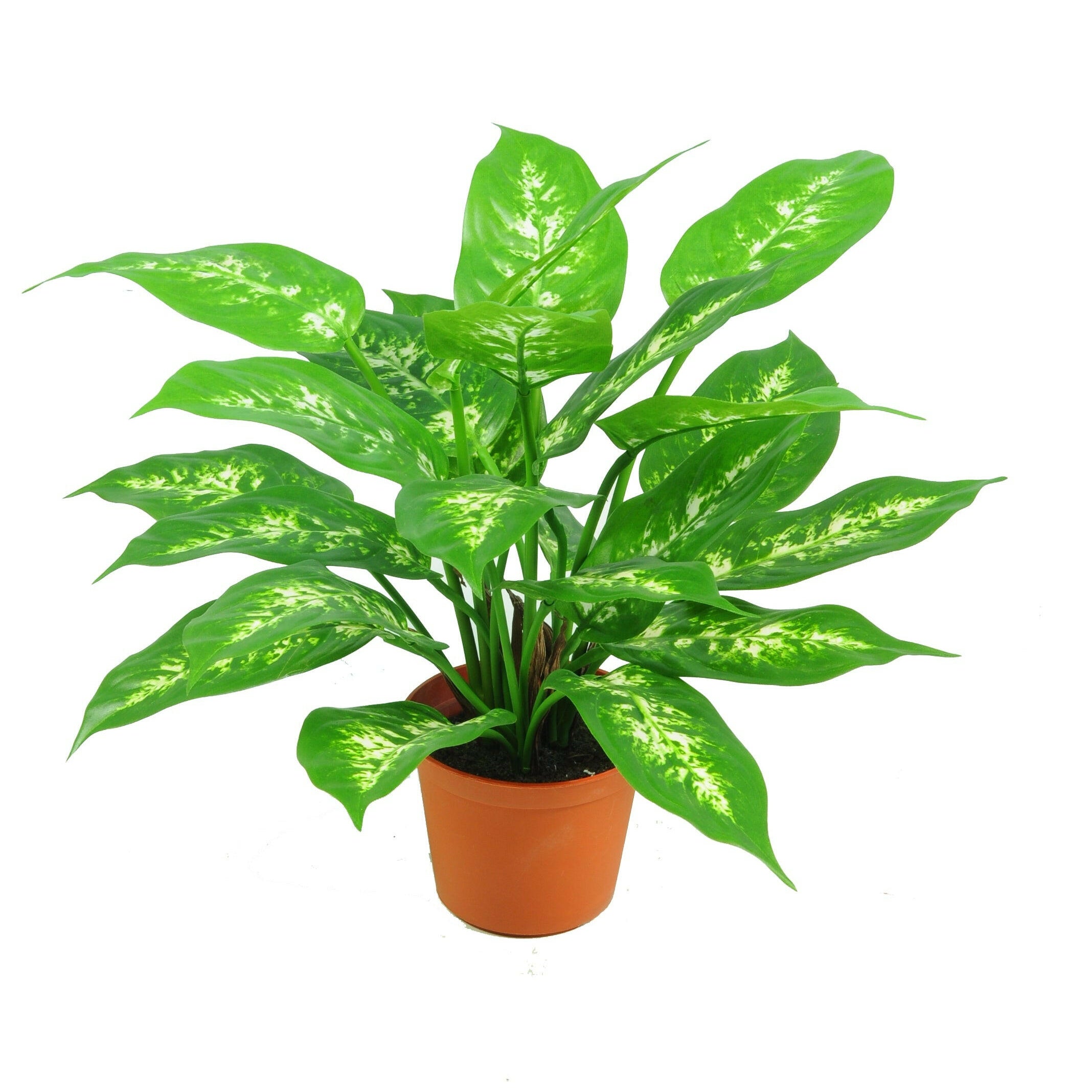 Artificial Silk Dieffenbachia Plant (comes in Pot) FR