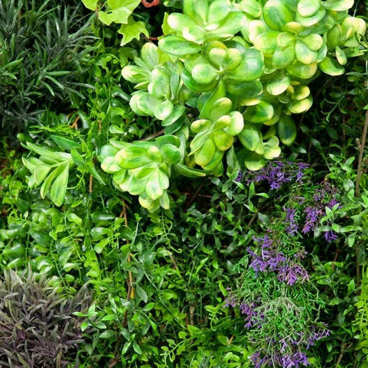 Artificial Topiary Mixed Green Wall Mat FR UV