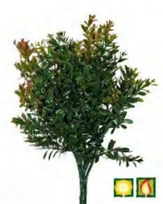 Artificial Foliage Buxus FR UV