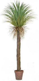 Artificial Cycas Palm