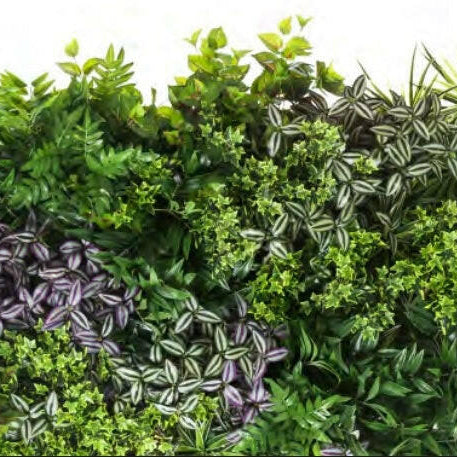 An example of Green Wall foliage attached to the Green Wall backing Panel
