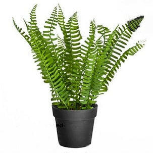 Part of our artificial fern 3 pack set