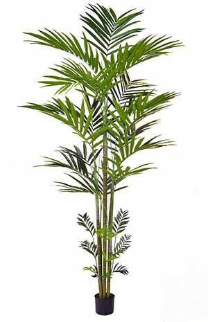 Artificial Silk Kentia Palm FR