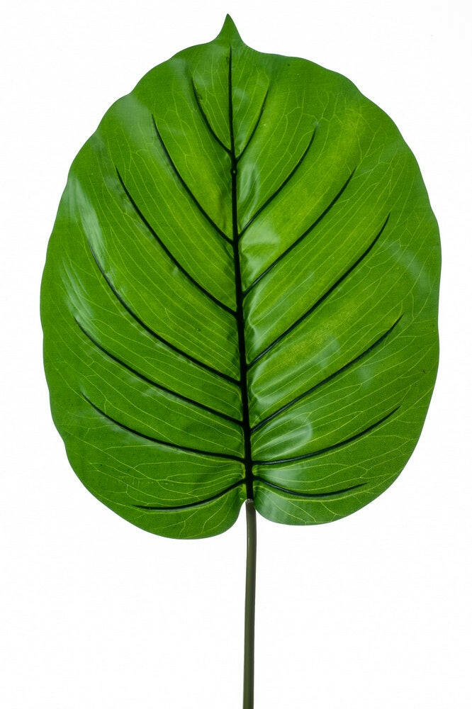 Artificial Silk Alocasia Leaf