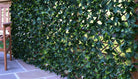 Artificial Extendable Hedge