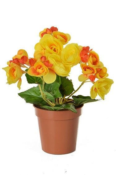 Artificial Silk Begonia in Orange Pot