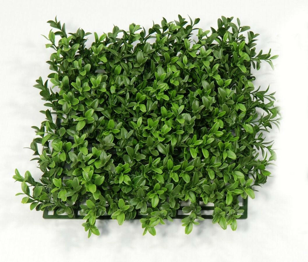 Buxus UV Panel