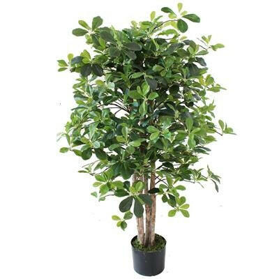 Artificial Silk Schefflera Tree