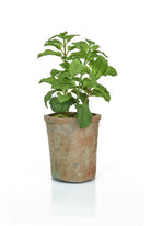 Artificial Silk Potted Herb - Mint