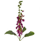 Artificial Silk Foxglove Spray