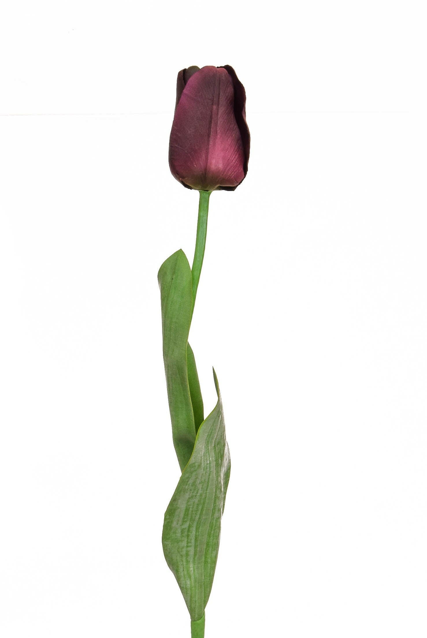 Artificial Silk Tulip Elisa Single Stem
