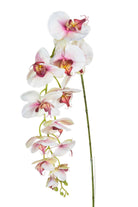 Artificial Silk Phalaenopsis, Large