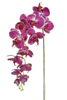 Artificial Silk Phalaenopsis, Large