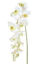 Artificial Silk Phalaenopsis, Large