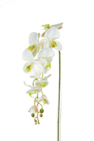 Artificial Silk Phalaenopsis, Large