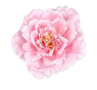 Artificial Silk Peony Head XXXL