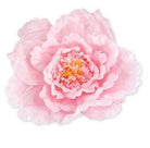 Artificial Silk Peony Head XXXXL