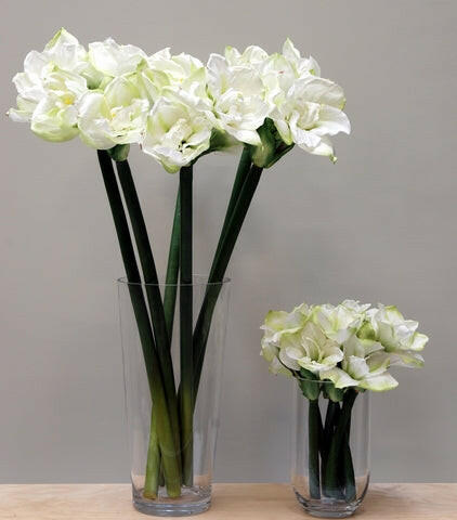 Artificial Queen Amaryllis (Real Touch)
