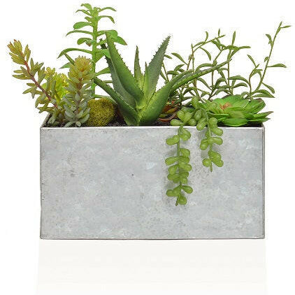 Artificial Mixed Succulents In Steel Trough