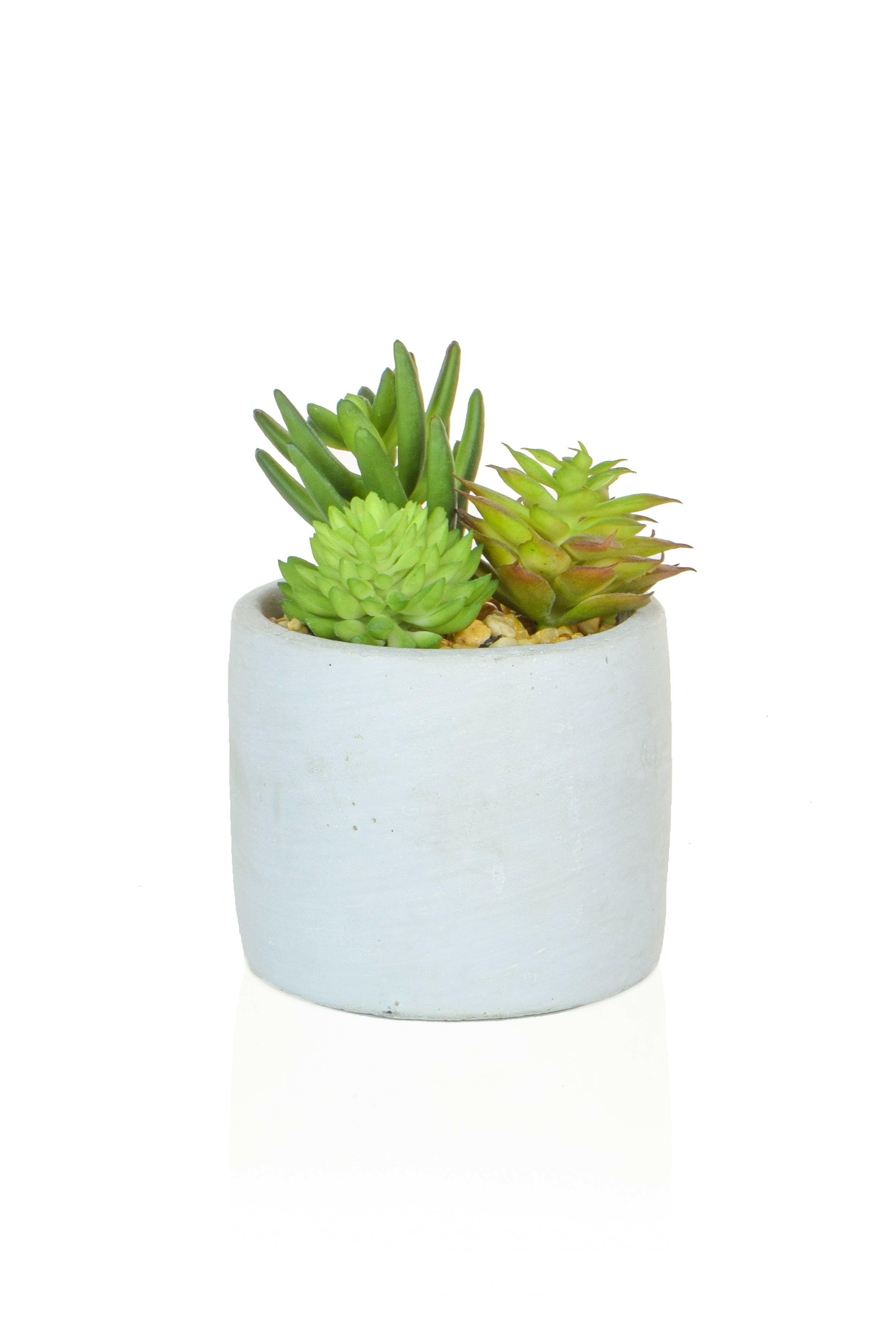 Artificial Succulent Mixed in round Pot