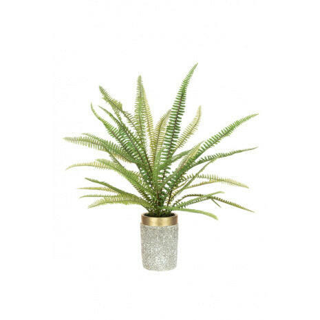 Artificial Large Fern in Gold Top Planter