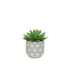 Artificial Cactus in Geometric Pot