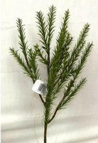 Artificial Silk Rosemary Spray