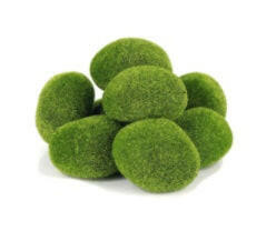 Artificial Moss Rocks (8 Piece)