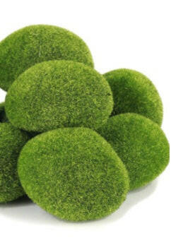 Artificial Moss Rocks (8 Piece)