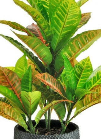 Artificial Silk Large Potted Calathea Plant