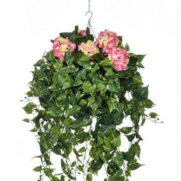 Artificial Silk Hydrangeas with Pothos Trails Hanging Basket FR