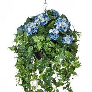 Artificial Silk Hydrangeas with Pothos Trails Hanging Basket FR