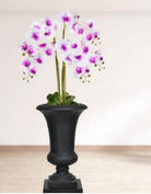 Artificial Silk Phalaenopsis Orchids in Milan Urn Sold as a pair