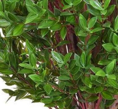 Artificial Topiary Privet Tree UV