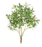 Artificial Silk Ruscus Branch