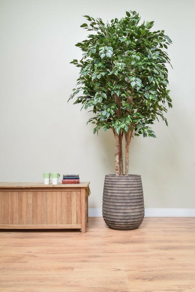 Artificial Silk Multi Trunk Ficus Tree