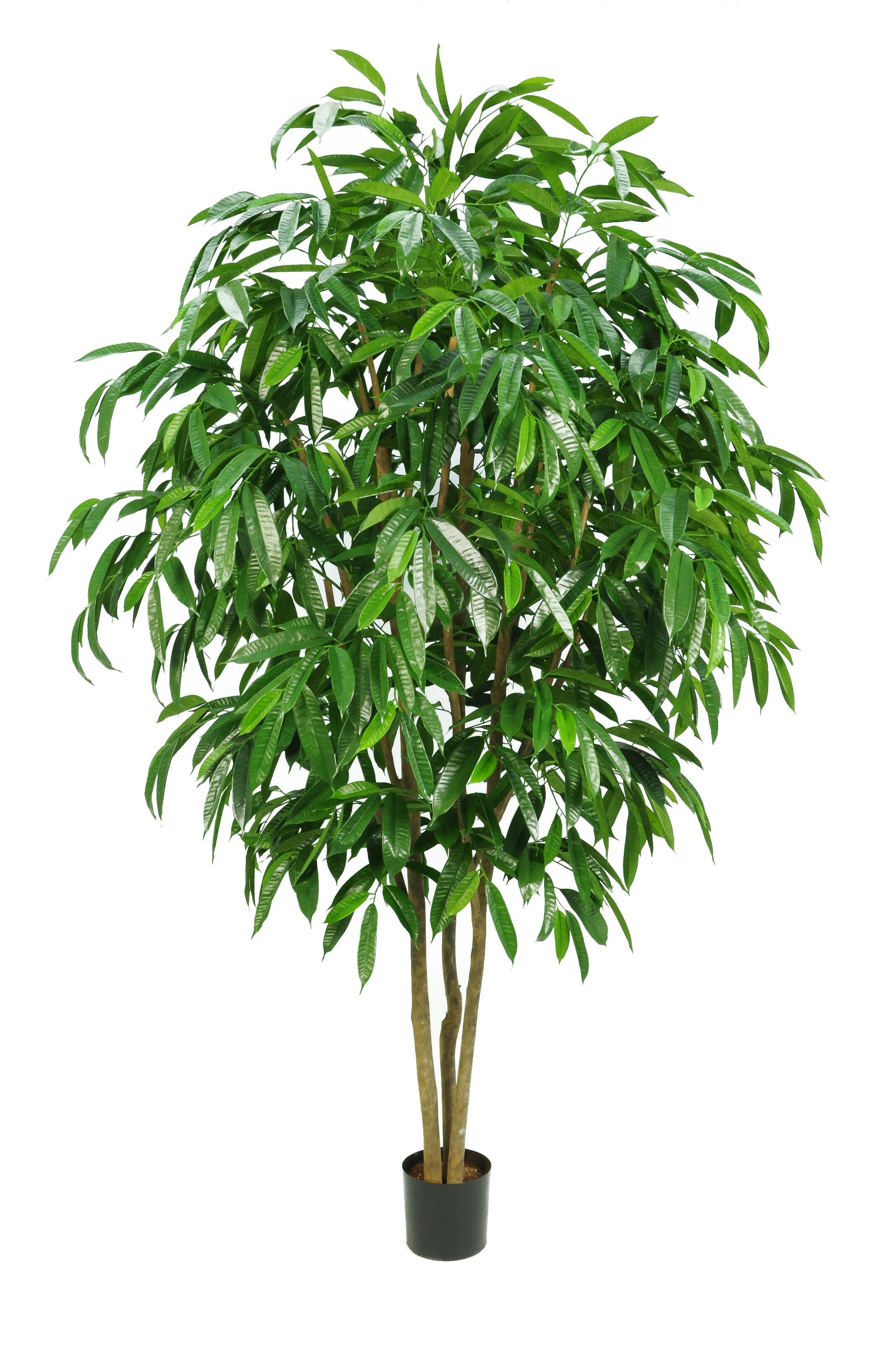 Artificial Silk Multi Trunk Ficus Longifolia Tree