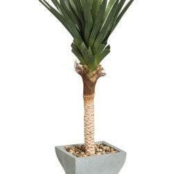 Artificial Spiked Agave Tree in Planter