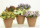 Artificial Pansy Tubs
