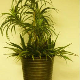 Artificial Silk Yucca Succulent Plant Arrangement in Planter