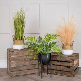 Artificial Ready Planted Fern on Stand