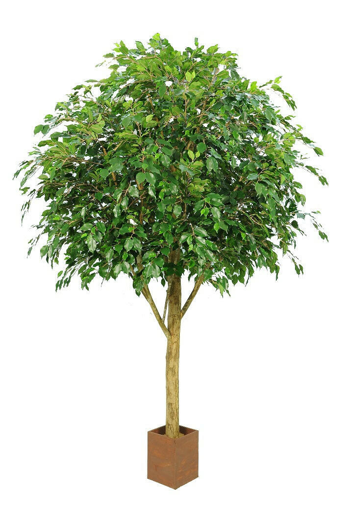 Artificial Silk Natural Trunk Ficus Tree