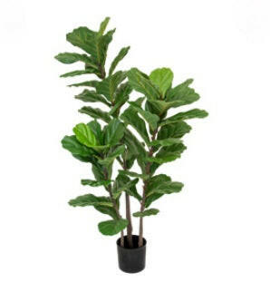 Artificial Fiddle Leaf Tree FR