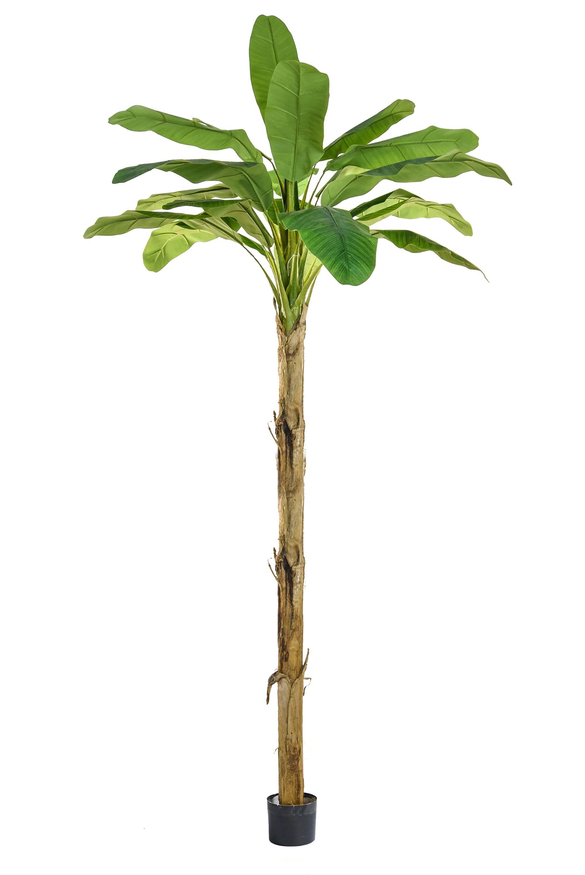 Artificial Banana Tree FR