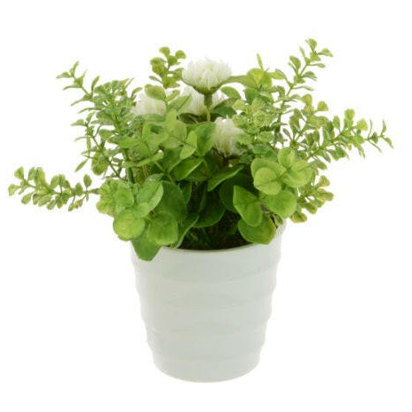 Artificial Potted Daisy/Eucalyptus/Geranium in White Pots x3