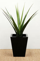 Artificial Aloe Vera Pandanus Plants